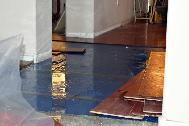 Professional Basement Flood Cleanup technician working in Rehoboth, MA